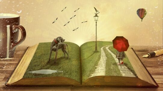 ionesco vis