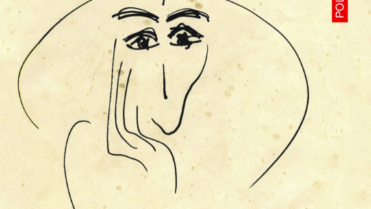 algeri dificile ioana cretoiu