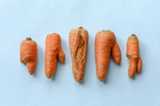nutritie alimente
