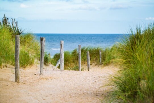 mare iubire